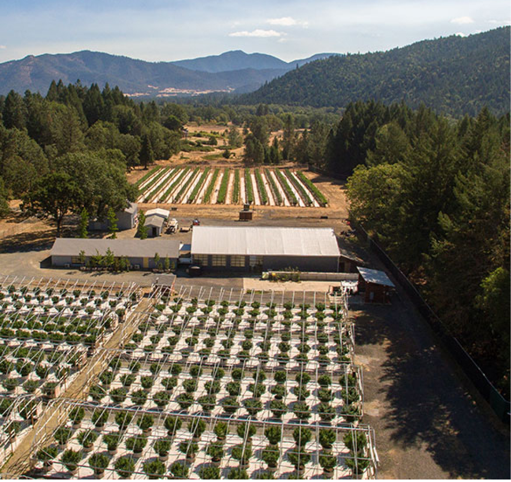 ShadowBox Farms