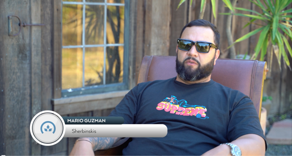 Mario Guzman from Sherbinski | Our Cannabis Breeder Network