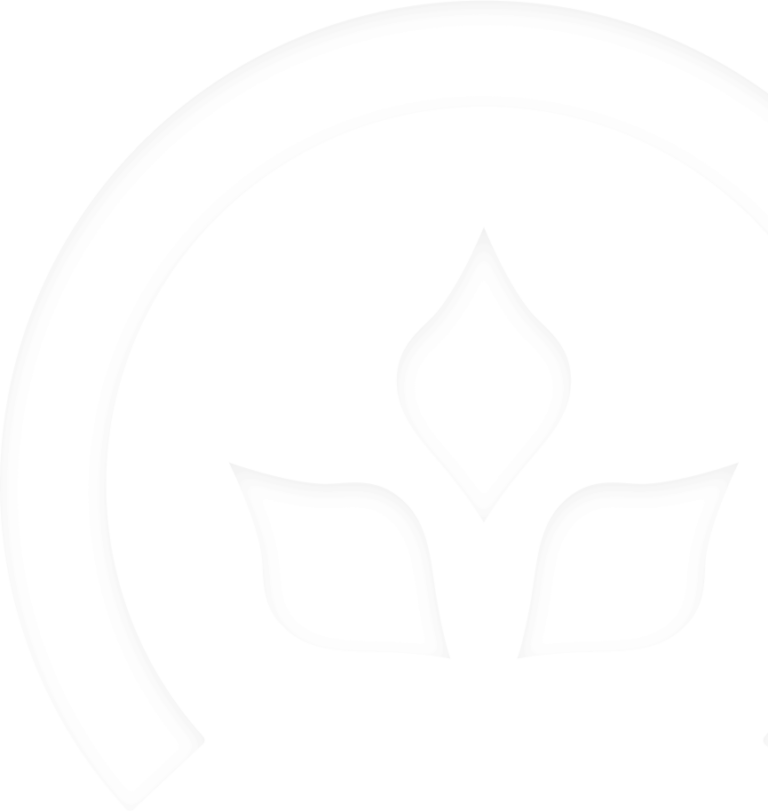 Transplanting Clones Conception Nurseries