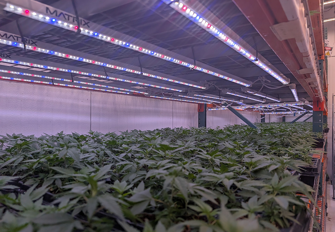 Conception Nurseries - Cannabis Cold Storage